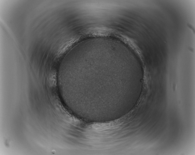 X0000101970017200807251221