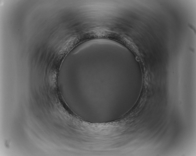 X0000101970018200807251221