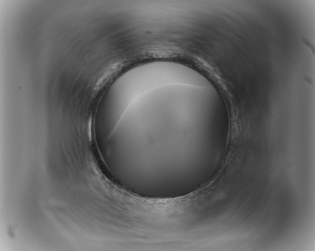 X0000101970019200807251221