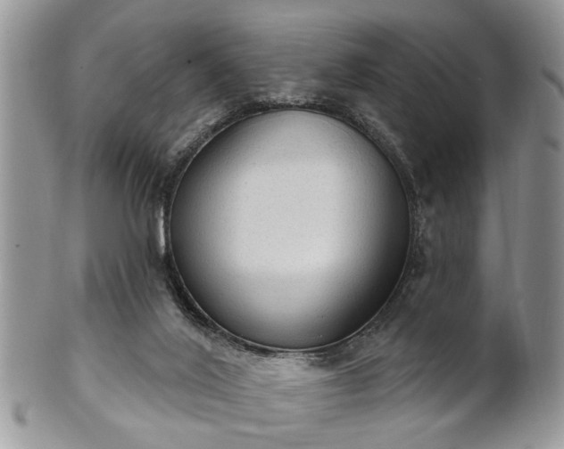 X0000101970020200807251221