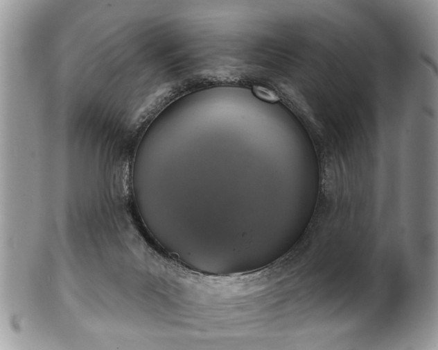 X0000101970023200807251221