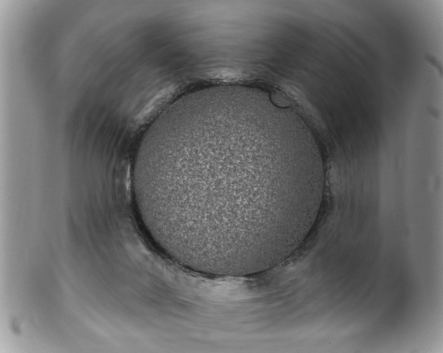 X0000101970024200807251221