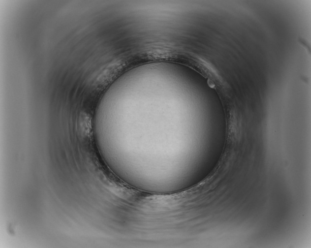 X0000101970025200807251221