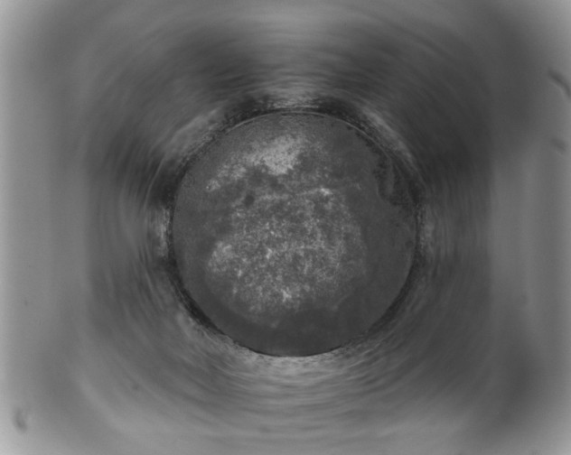 X0000101970026200807251221