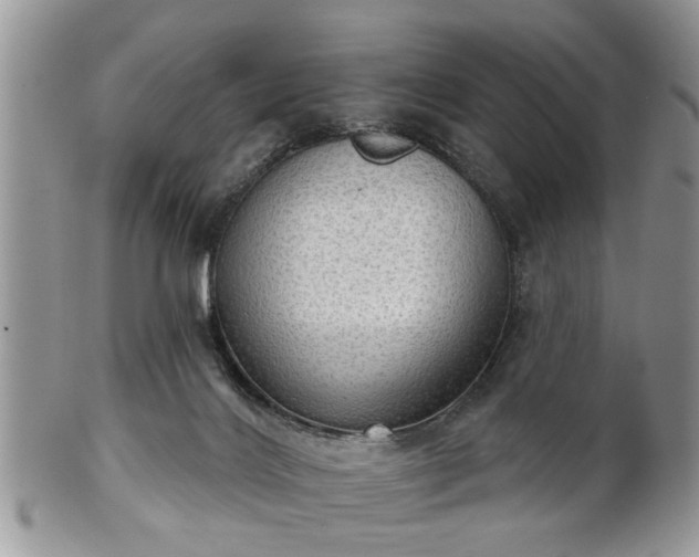 X0000101970028200807251221