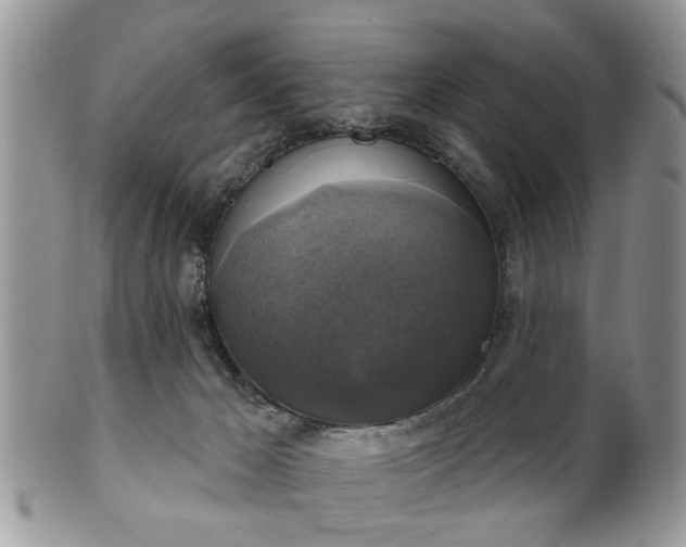 X0000101970029200807251221