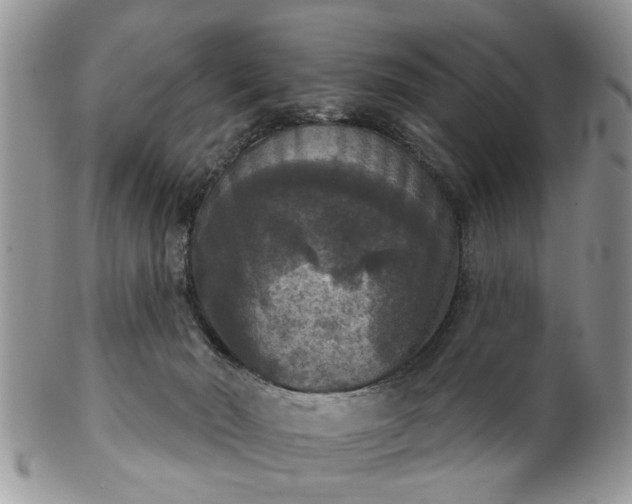 X0000101970030200807251221