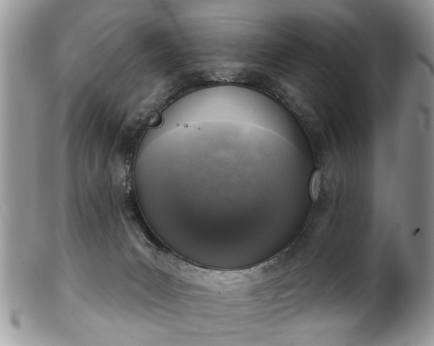 X0000101970031200807251221