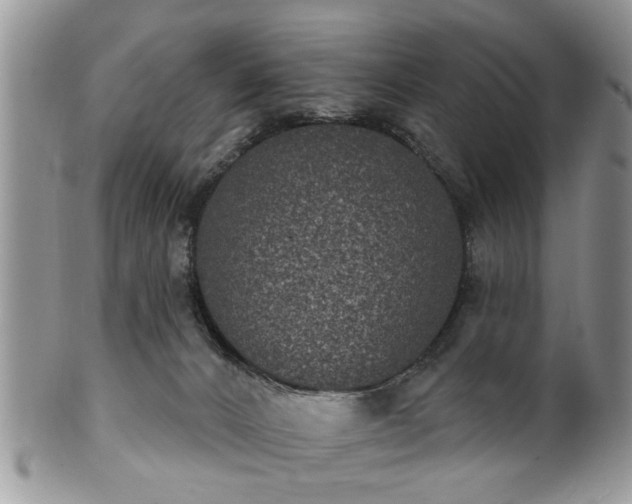 X0000101970032200807251221