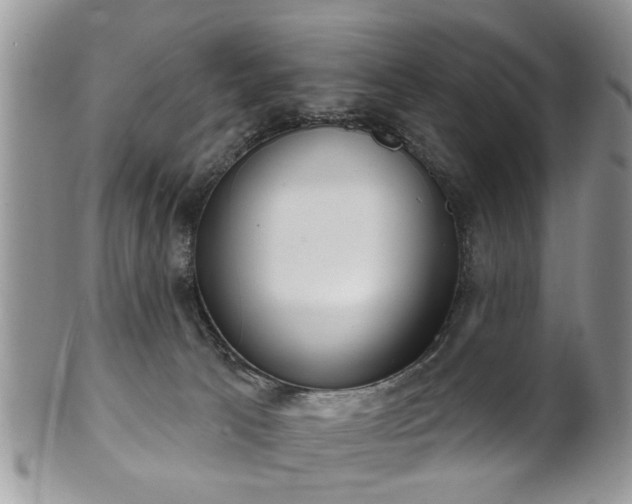X0000101970033200807251221