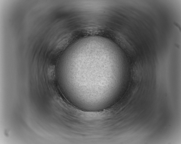 X0000101970034200807251221