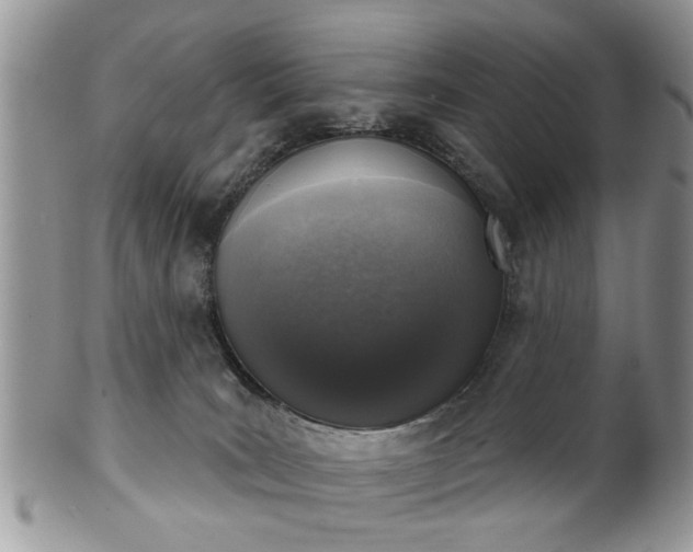 X0000101970035200807251221