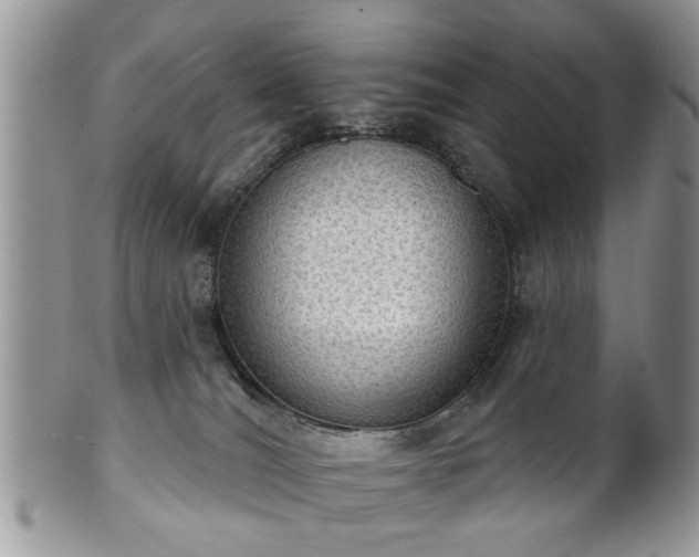X0000101970036200807251221