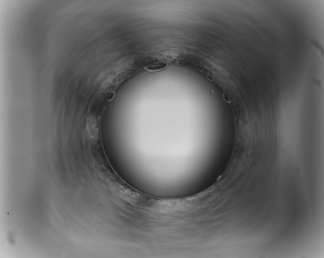 X0000101970037200807251221