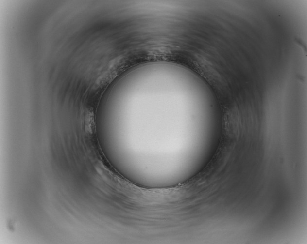 X0000101970038200807251221