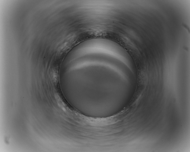 X0000101970039200807251221