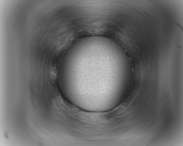 X0000101970040200807251221