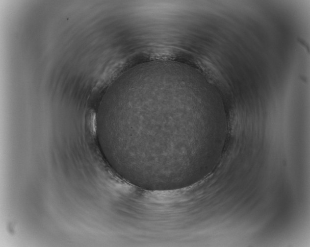 X0000101970041200807251221