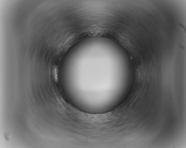 X0000101970042200807251221