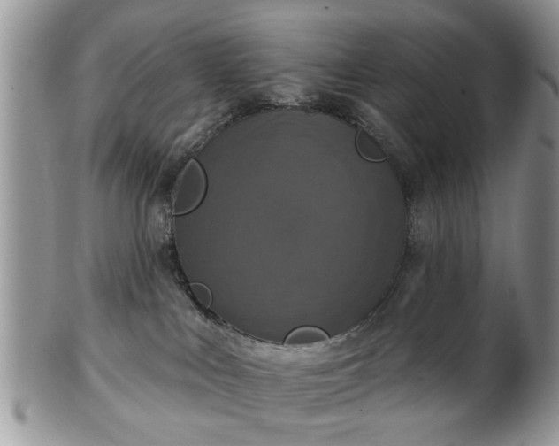 X0000101970043200807251221