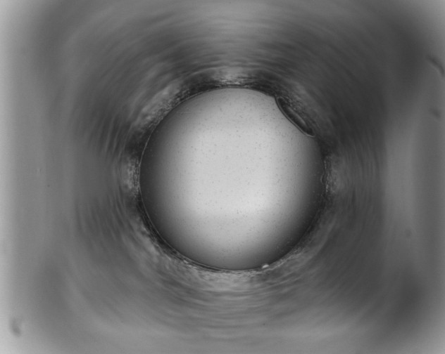 X0000101970044200807251221