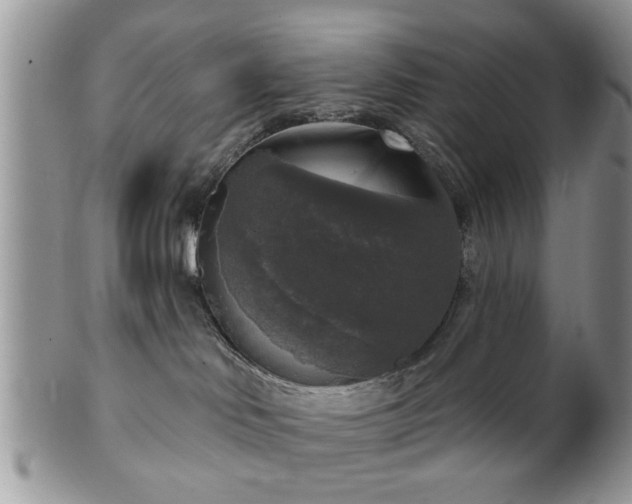 X0000101970046200807251221