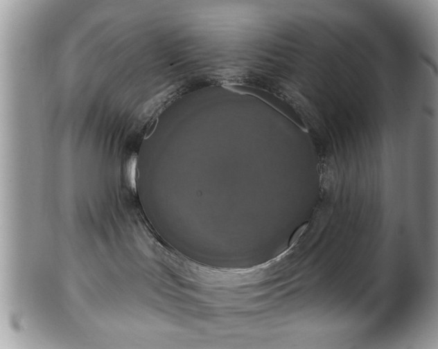 X0000101970047200807251221
