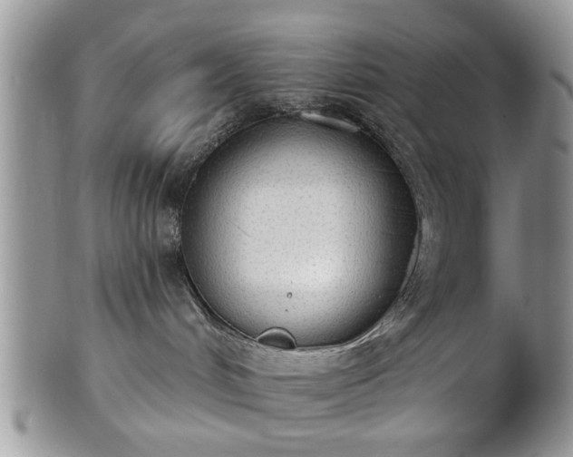 X0000101970048200807251221