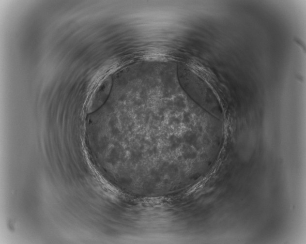 X0000101970049200807251220