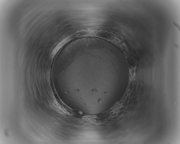 X0000101970051200807251220