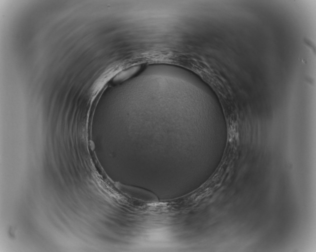 X0000101970052200807251220