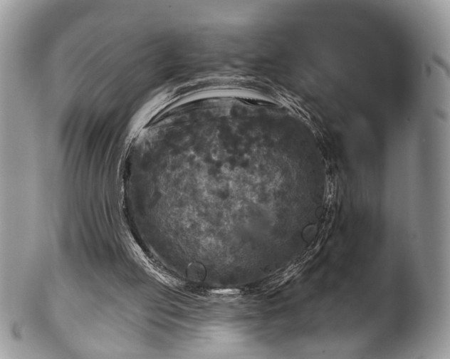 X0000101970053200807251220