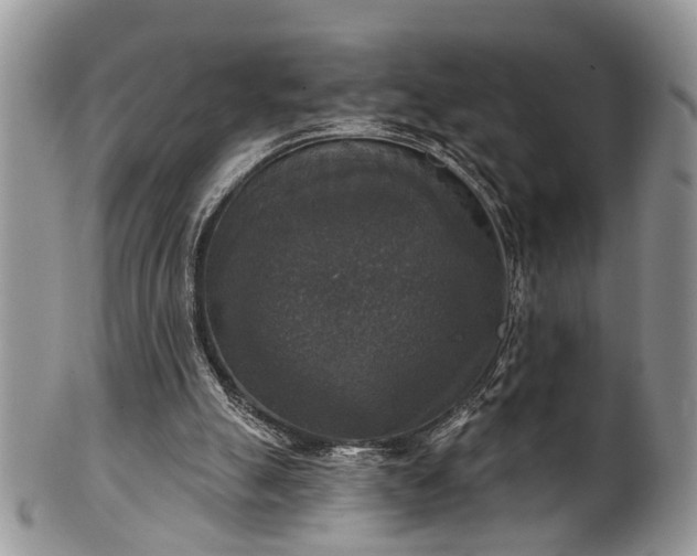 X0000101970055200807251220