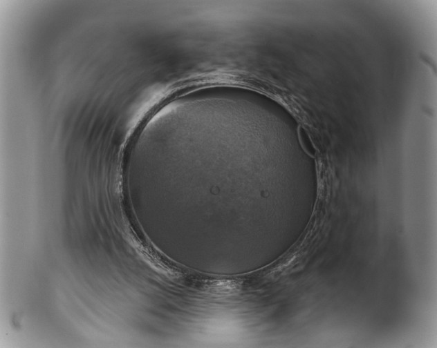 X0000101970056200807251220