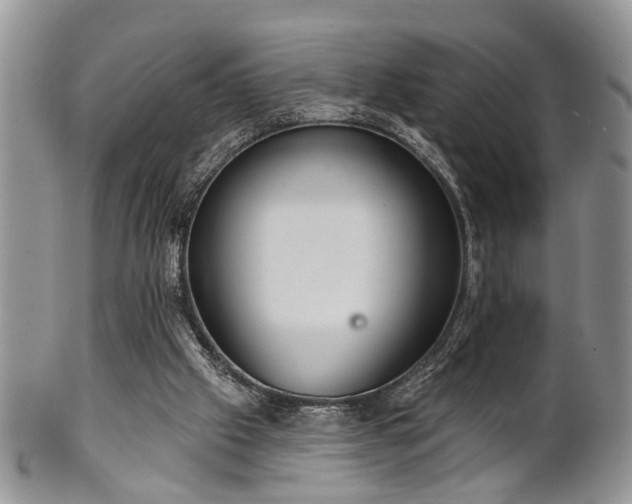 X0000101970057200807251220