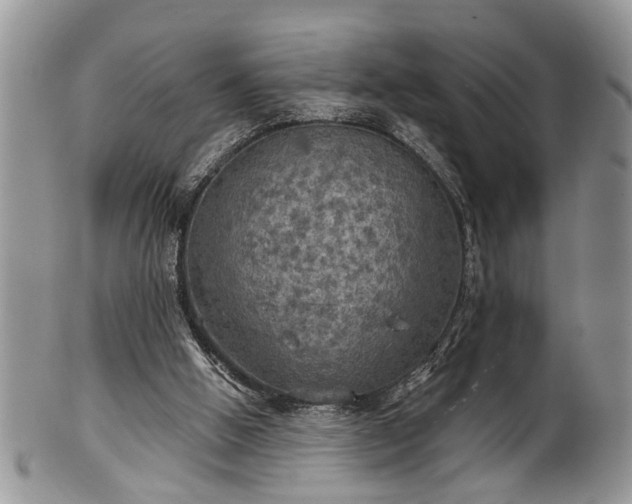 X0000101970058200807251220