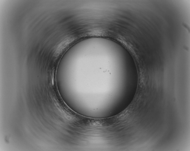 X0000101970062200807251220