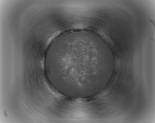 X0000101970064200807251220