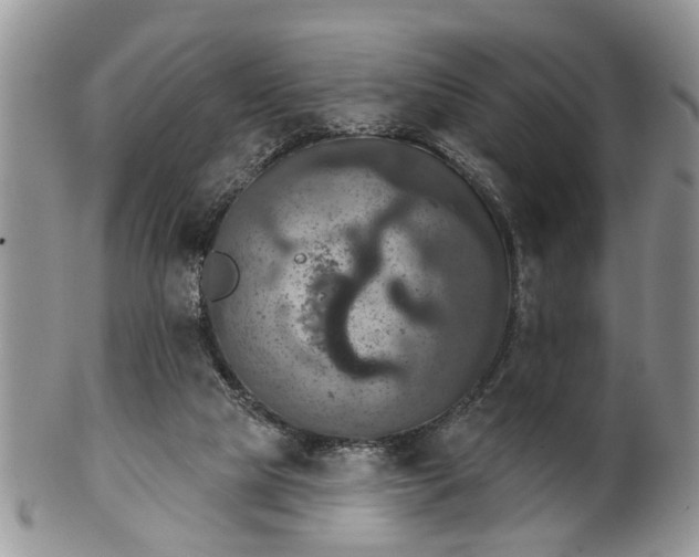 X0000101970065200807251220