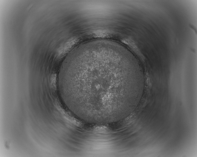 X0000101970066200807251220