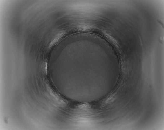 X0000101970067200807251220