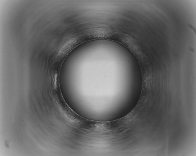 X0000101970070200807251220