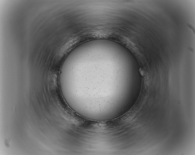 X0000101970071200807251220