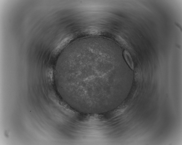 X0000101970072200807251220