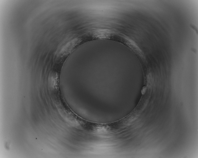 X0000101970073200807251220