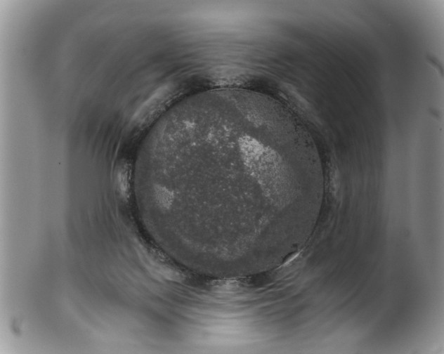 X0000101970074200807251220