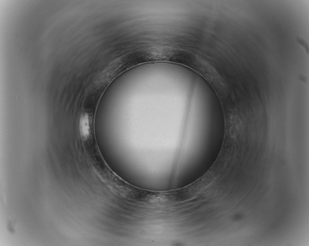 X0000101970075200807251220