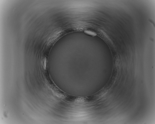 X0000101970076200807251220