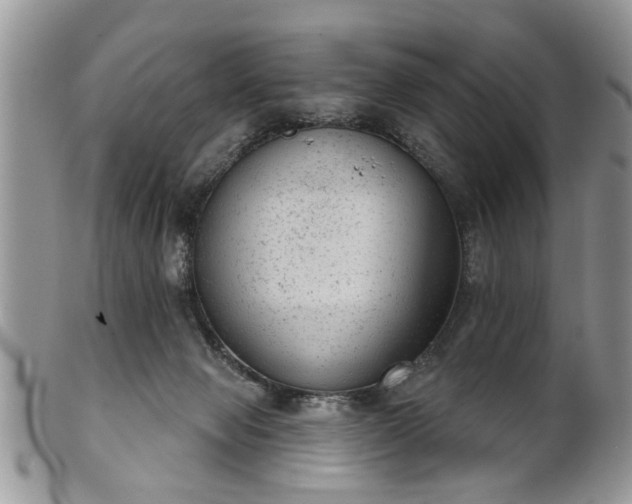X0000101970077200807251220