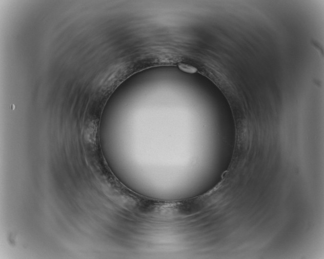 X0000101970078200807251220